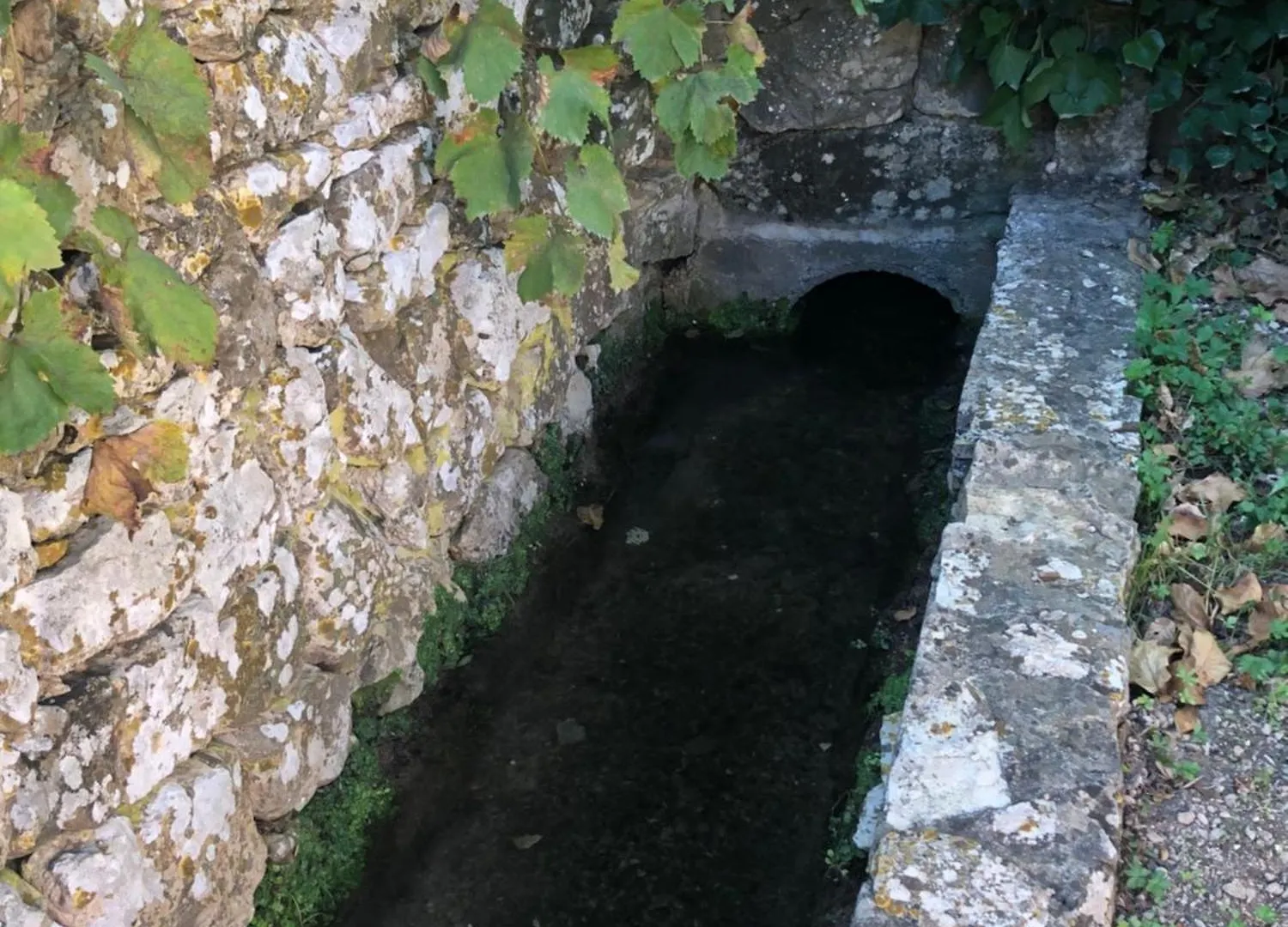 Villa Provencale Au Calme Entouree De Verdure, Animaux De Compagnie Acceptes ! Belgentier Hébergement de vacances