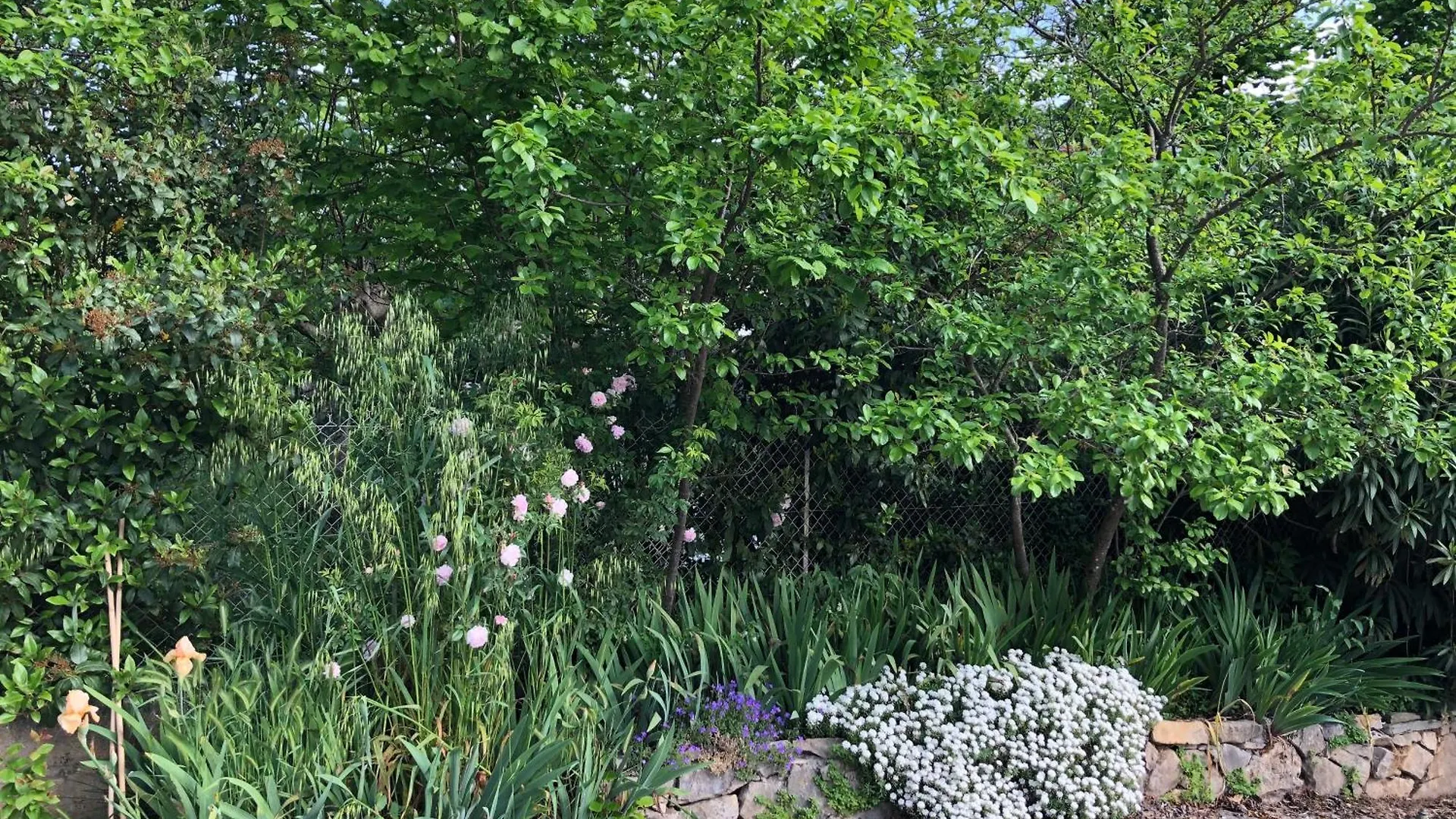 Hébergement de vacances Villa Provencale Au Calme Entouree De Verdure, Animaux De Compagnie Acceptes ! Belgentier France