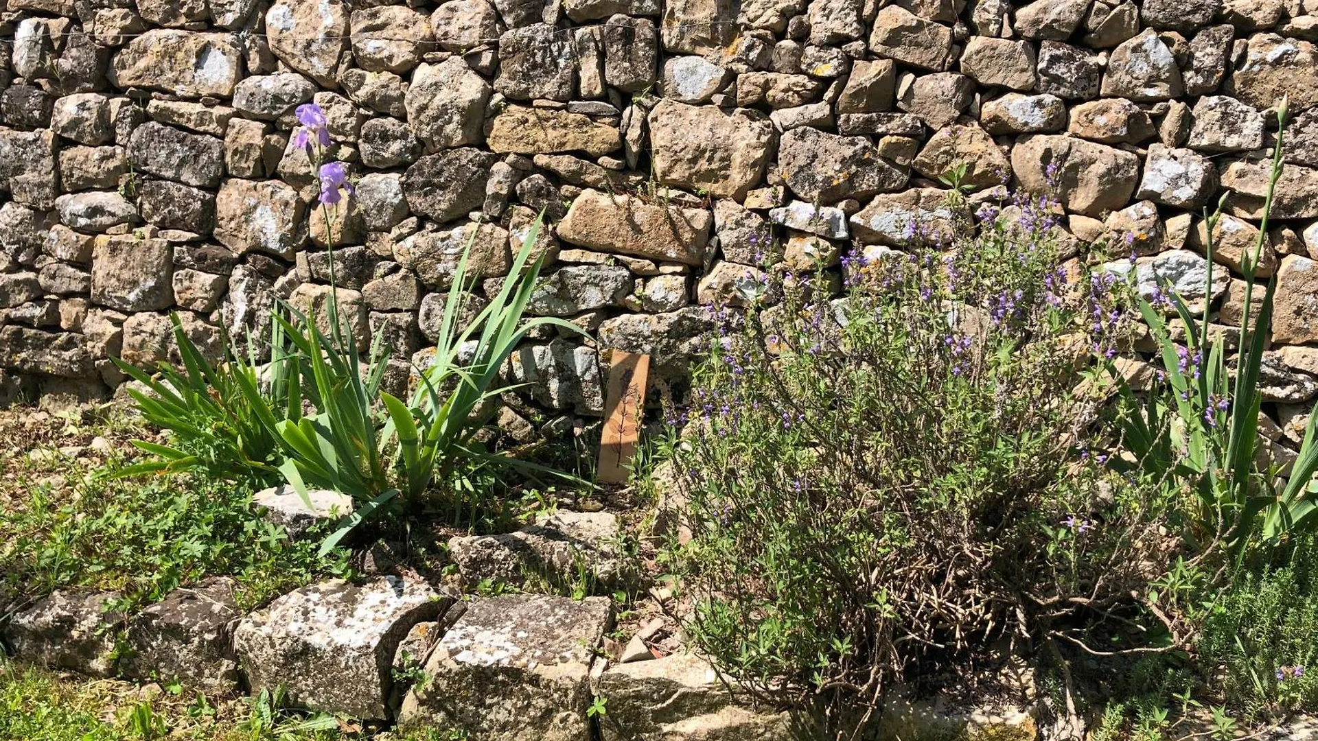 Villa Provencale Au Calme Entouree De Verdure, Animaux De Compagnie Acceptes ! Belgentier 0*,